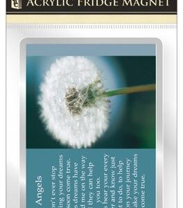 Acrylic fridge magnet/angels